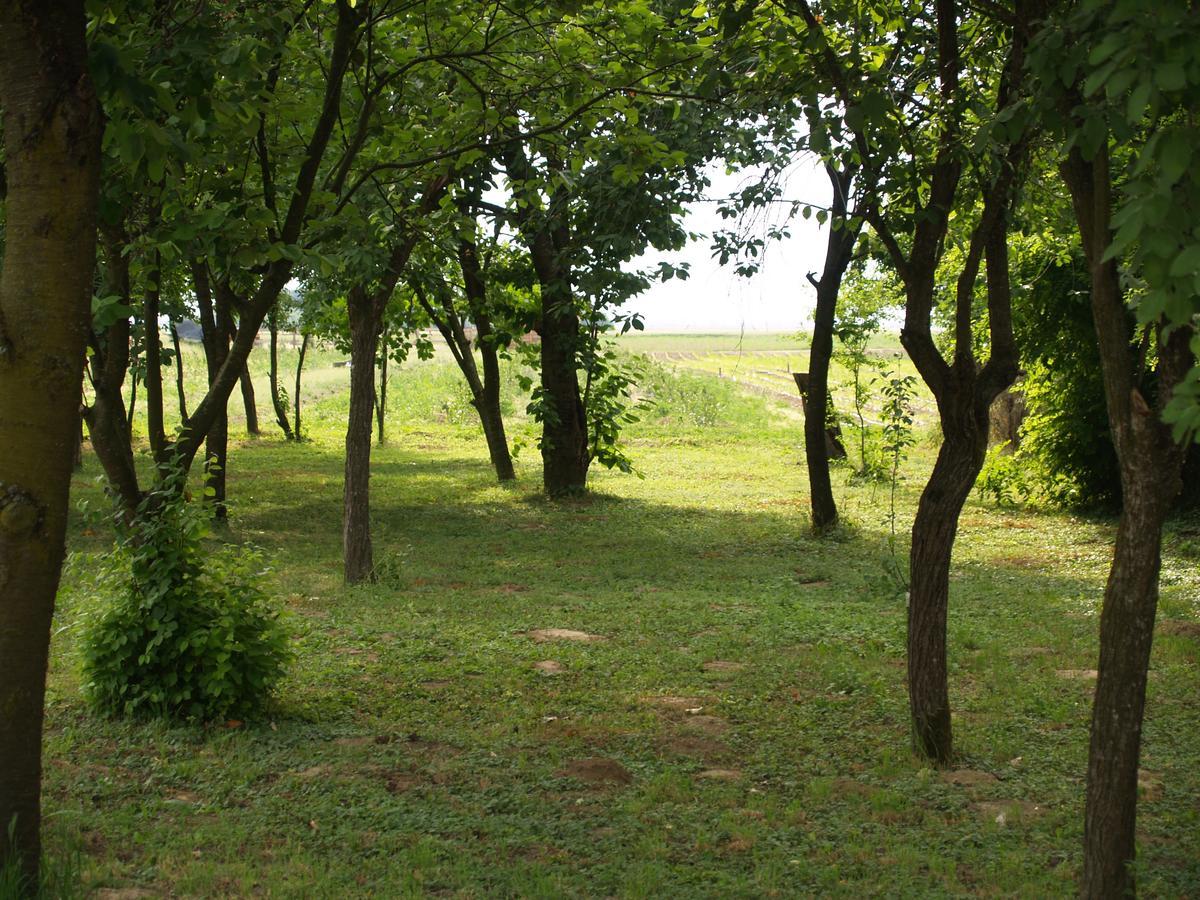 Pannonia Terranova Vardarac Exterior foto